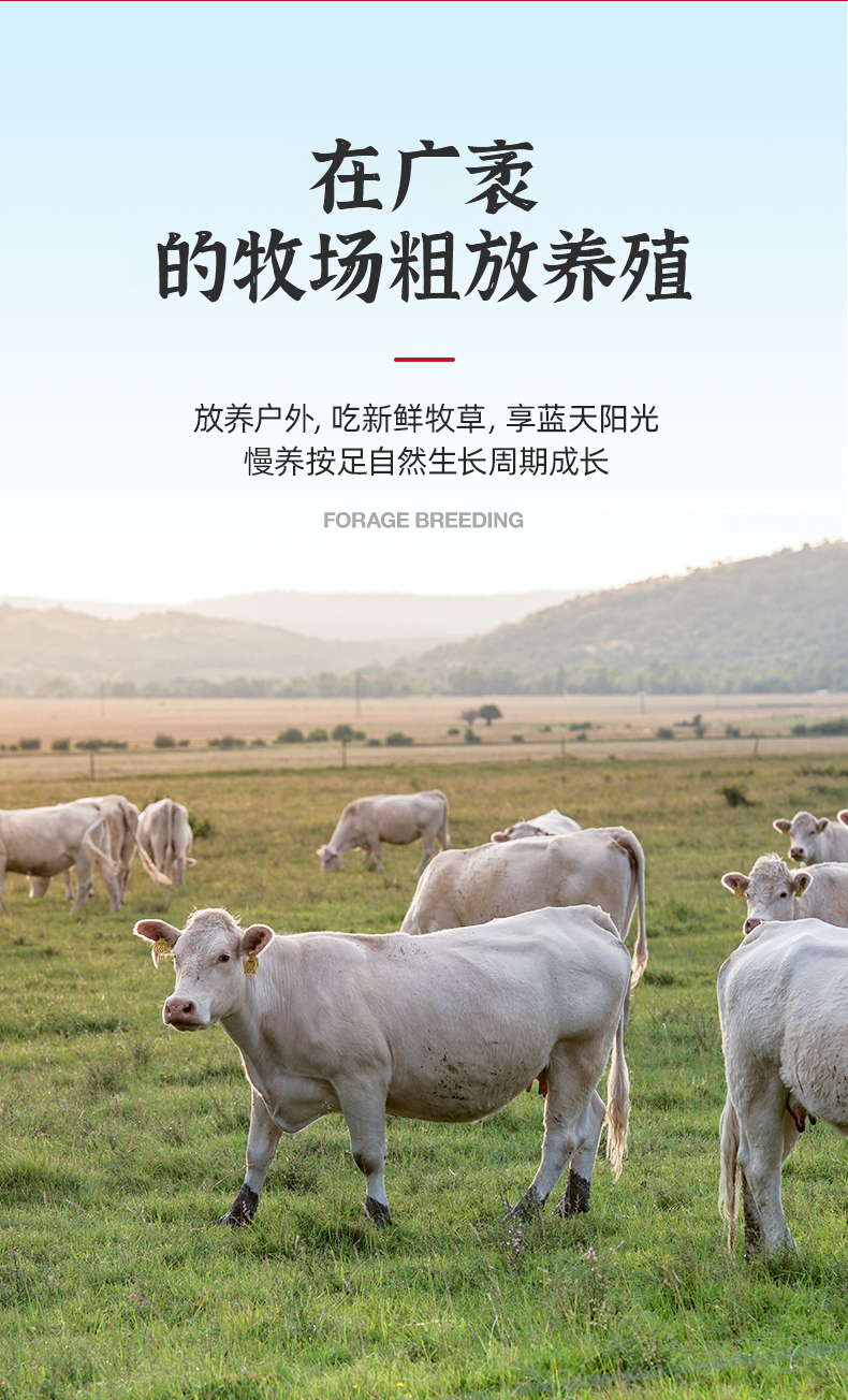 1638174338207714.jpg 12.jpg