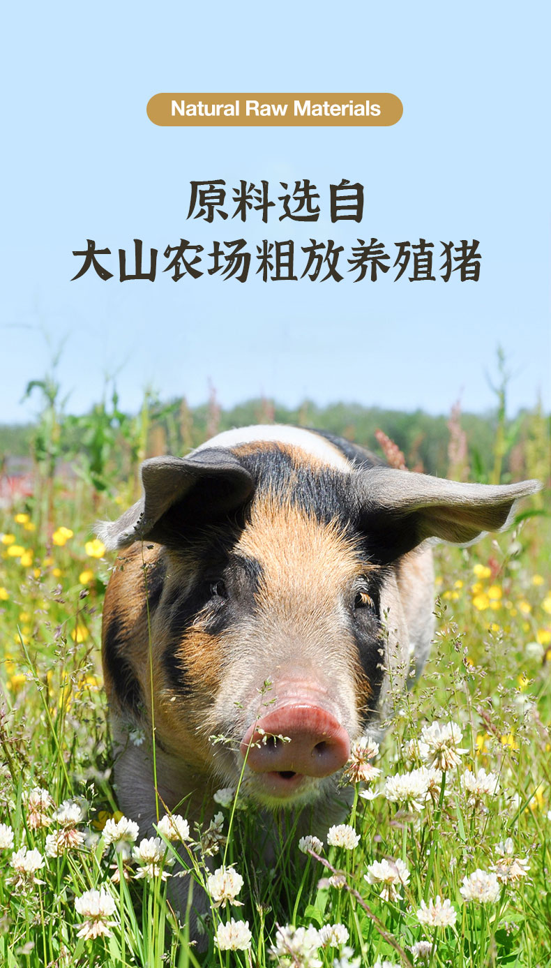 1638603454353513.jpg 黃(huáng)金(jīn)脆皮骨200g_08.jpg